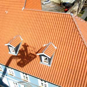 Blick auf Dach Altstadt Bad Langensalza