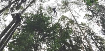 Klettertraining antignum im Kletterwald