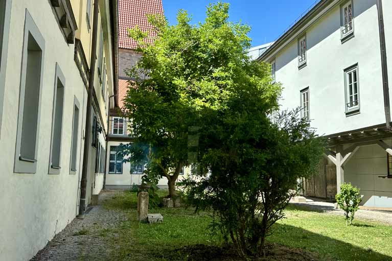 Ursulinenkloster Erfurt, Klostergarten mit Magnolie